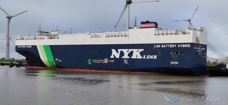 WILD ROSE LEADER