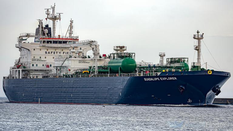 GUADALUPE EXPLORER photo