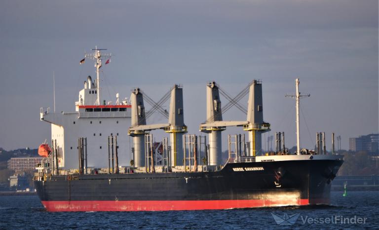 NORSE SAVANNAH photo