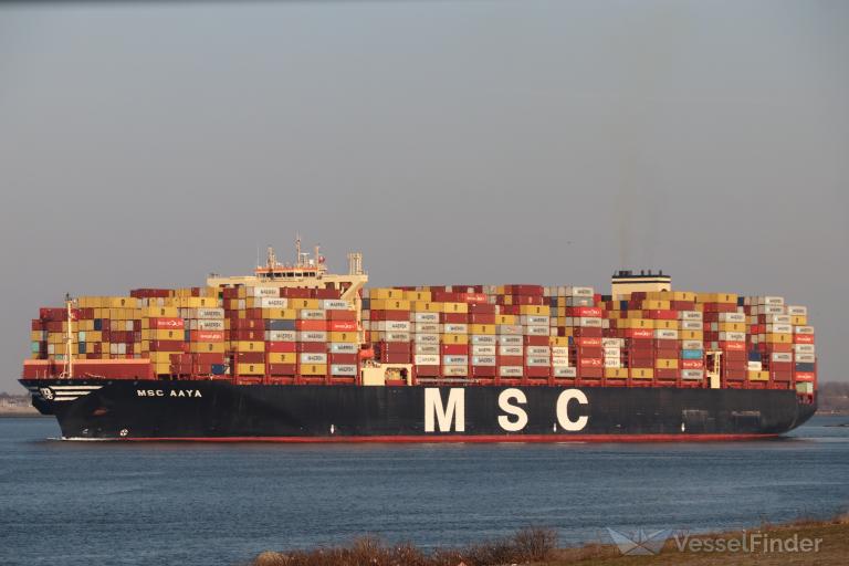 MSC AAYA photo