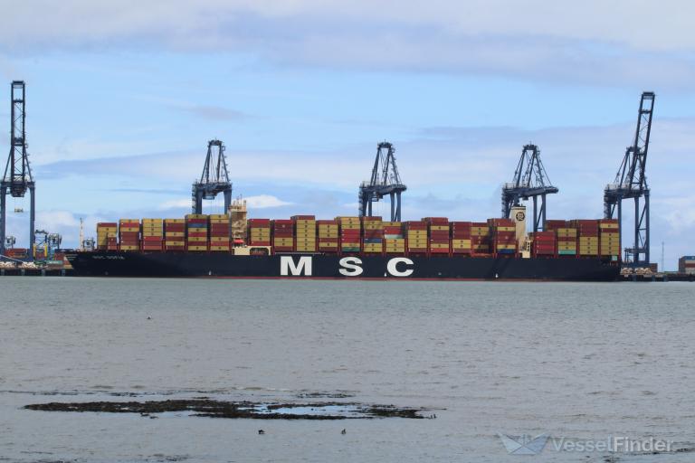 MSC SOFIA photo