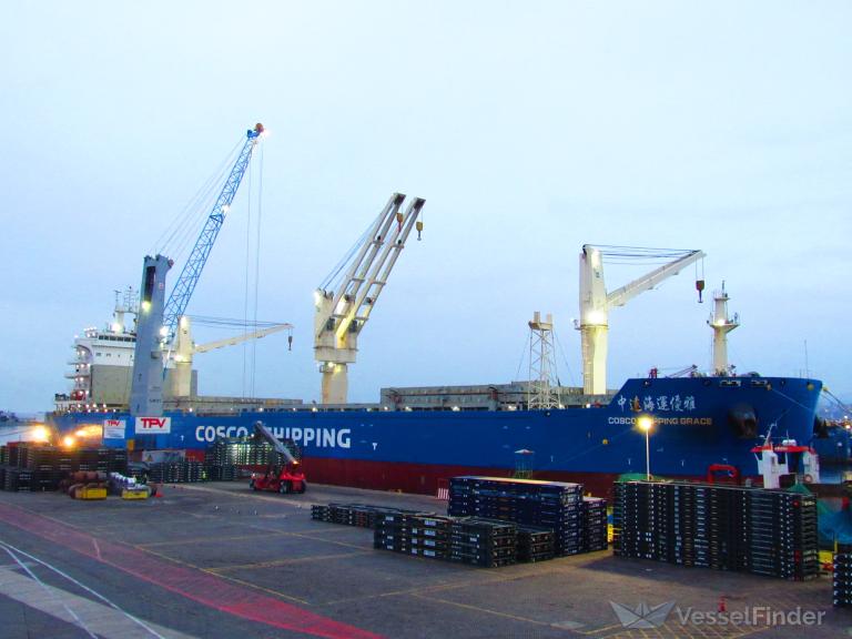 COSCO SHIPPING GRACE photo
