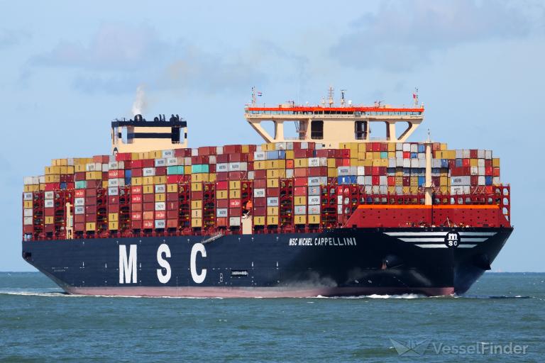 MSC MICHELCAPPELLINI photo