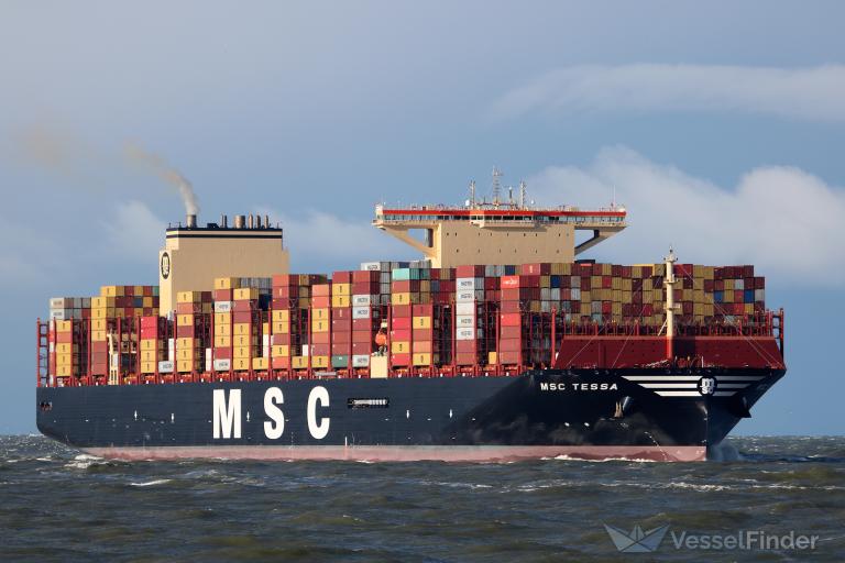 MSC TESSA photo