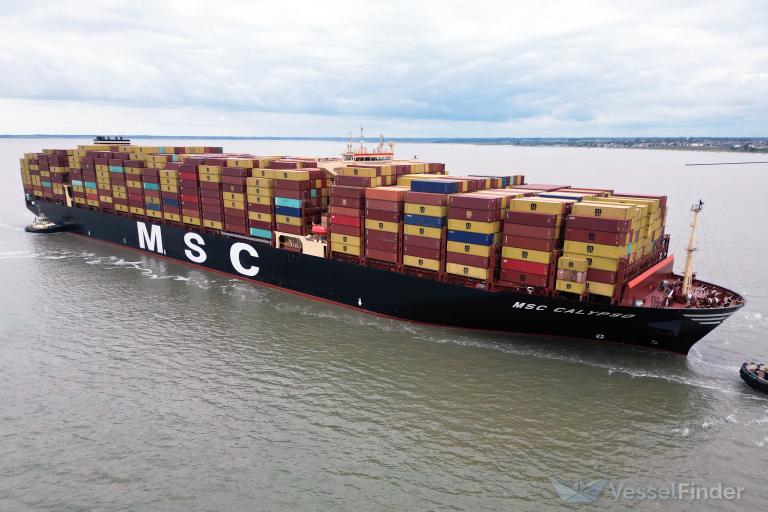 MSC CALYPSO photo