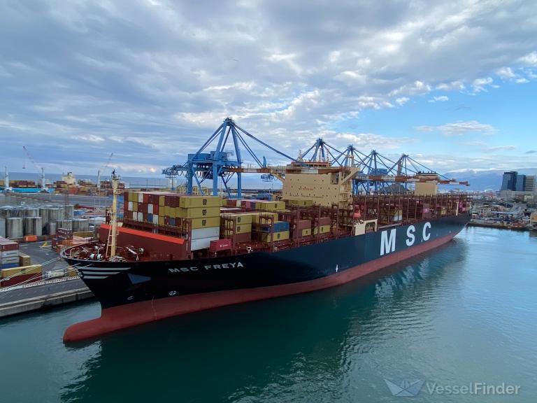 MSC FREYA photo