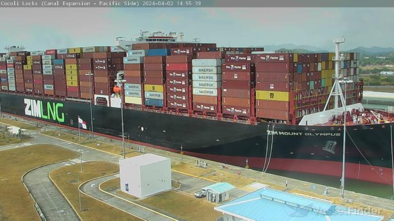 ZIM MOUNT OLYMPUS photo