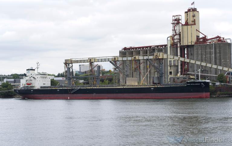 NEW INTELLIGENCE photo