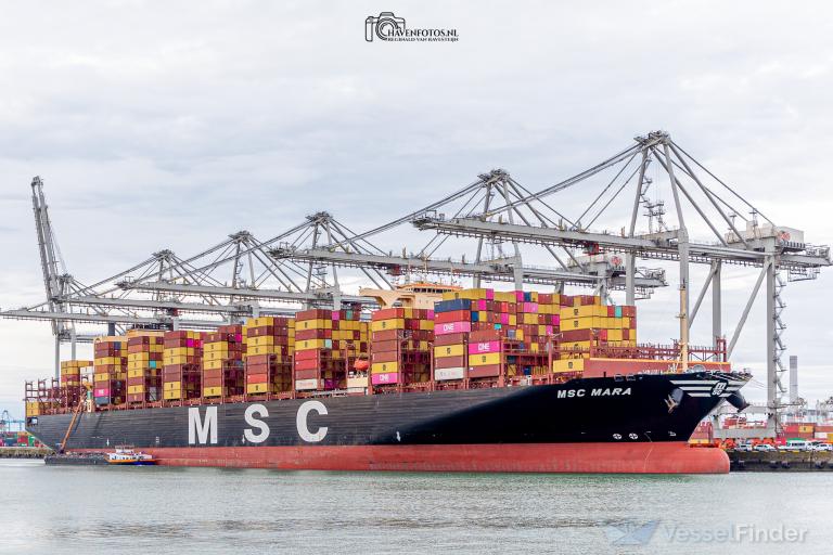 MSC MARA photo