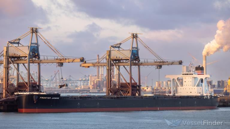 FRONTIER JASMINE photo