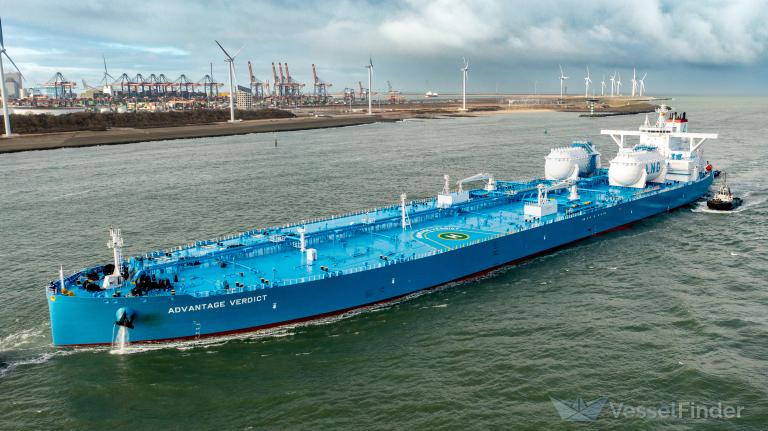 ADVANTAGE VERDICT photo