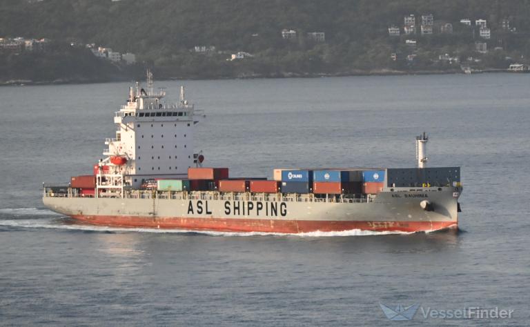ASL BAUHINIA photo