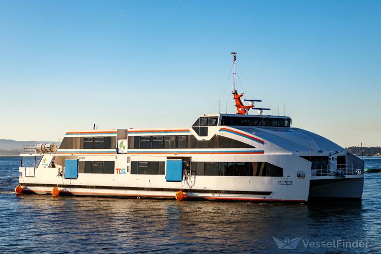 CEGONHA BRANCA photo