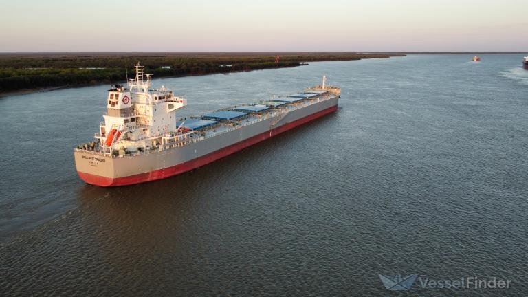 BRILLIANT TRADER photo