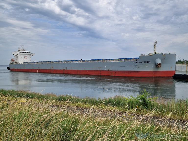 CARLTON TRADER photo