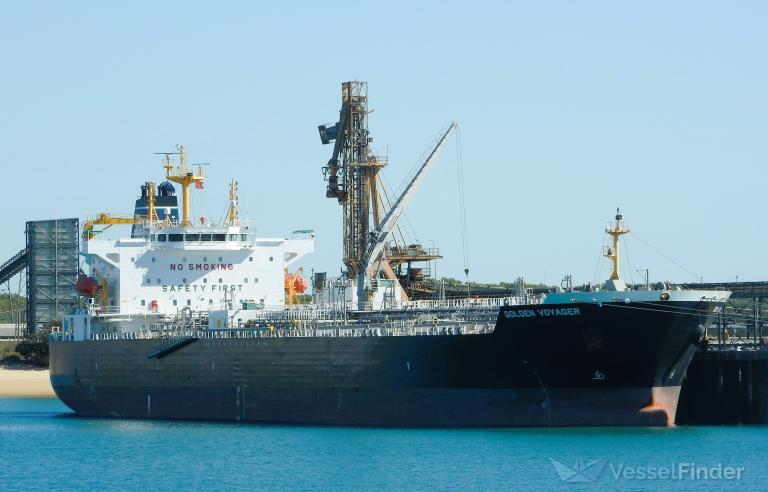 GOLDEN VOYAGER photo
