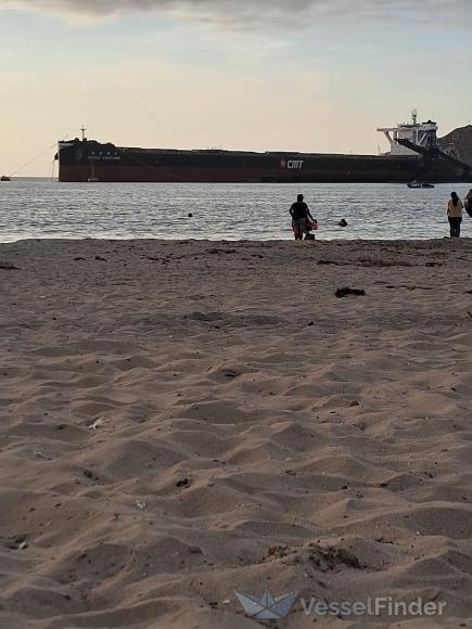 CHINA VENTURE, Bulk Carrier - Details and current position