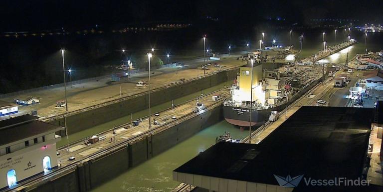 PLATINUM JUBILEE photo