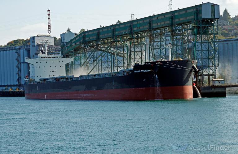 ORANGE FRIENDSHIP photo