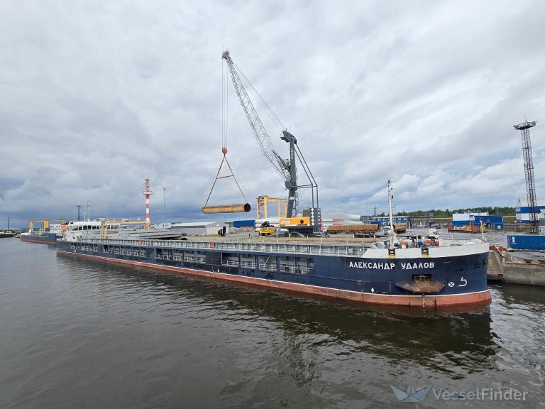 ALEXANDER UDALOV photo