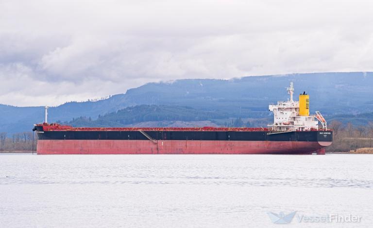 BASIC ADVENTURER photo