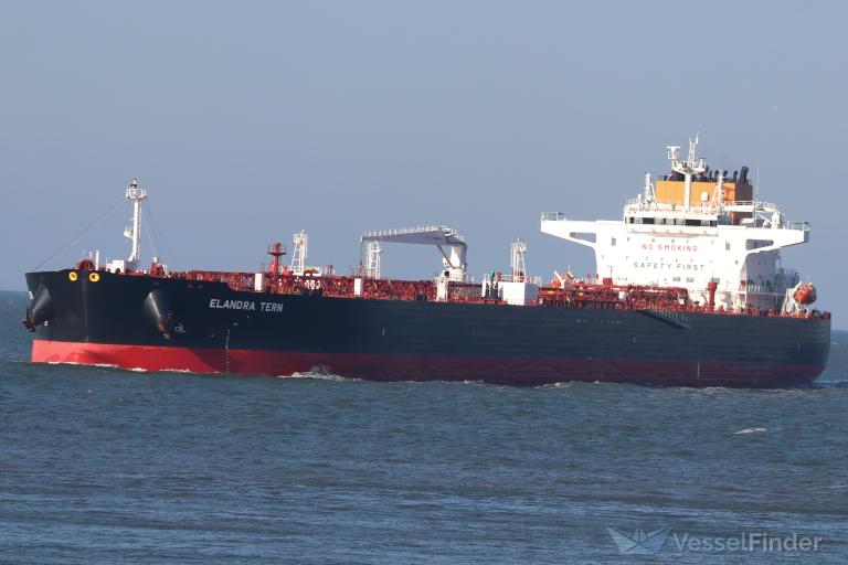 ELANDRA TERN photo