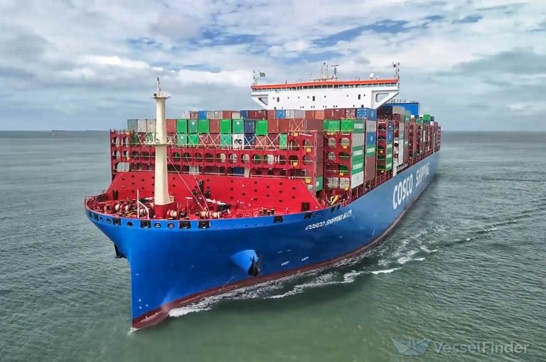 COSCO SHIPPING CHILE photo