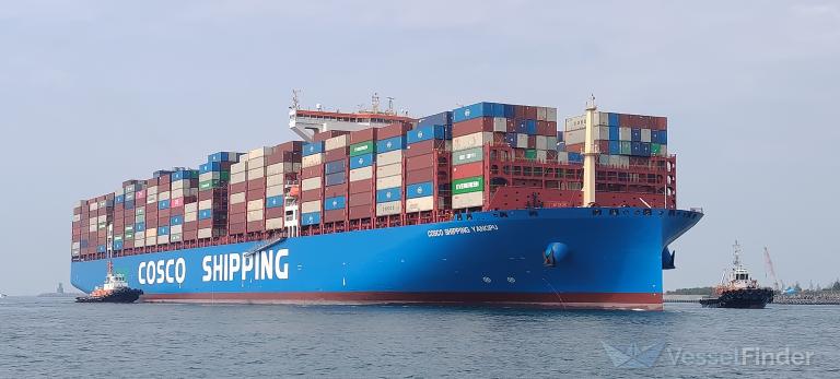 COSCOSHIPPING YANGPU photo