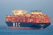 MSC-GIOIA-TAURO