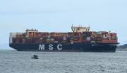 MSC-VALENTINA