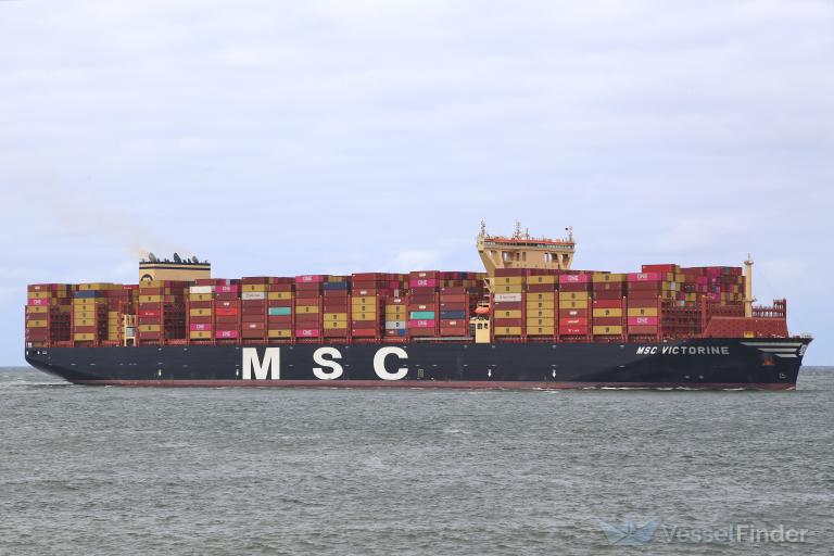 MSC VICTORINE