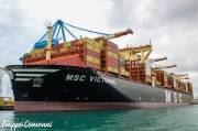 MSC-VICTORINE