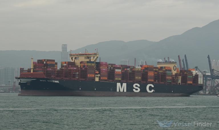 MSC VIVIENNE photo