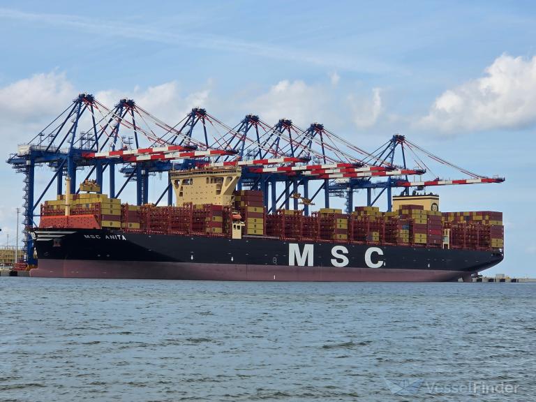 MSC ANITA