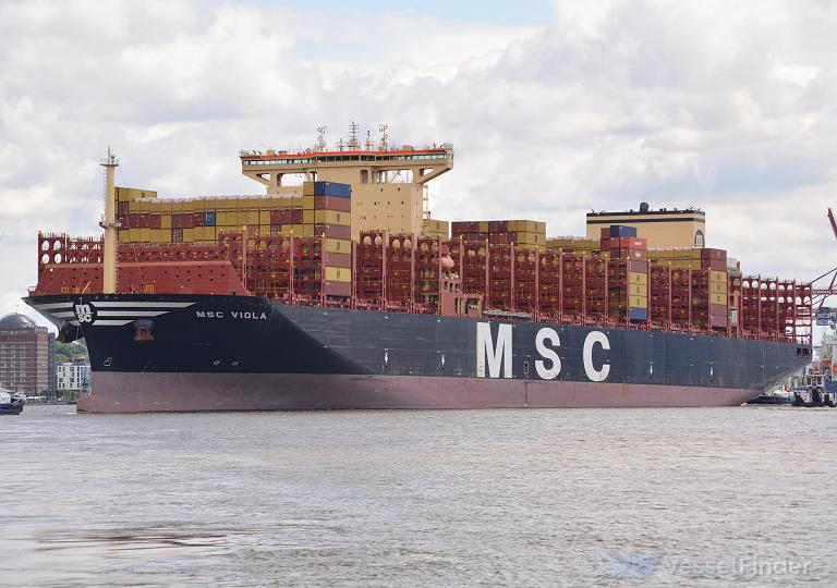 MSC VIOLA