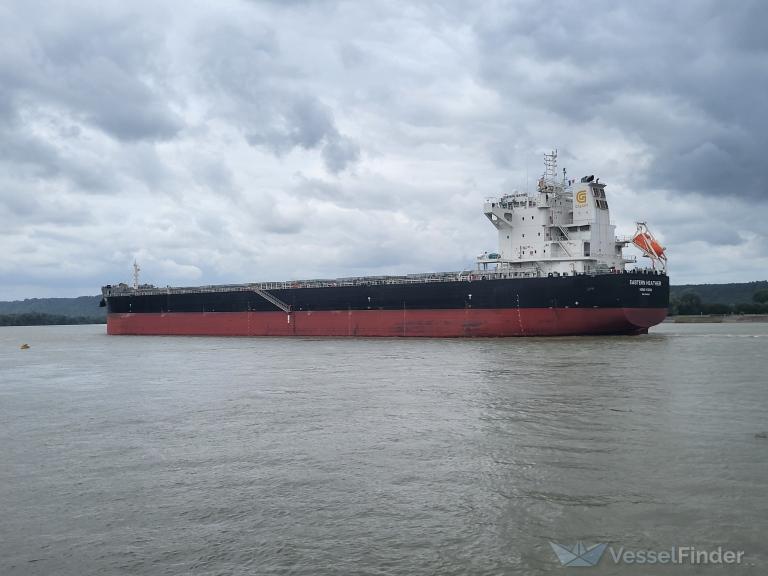 EASTERN HEATHER photo