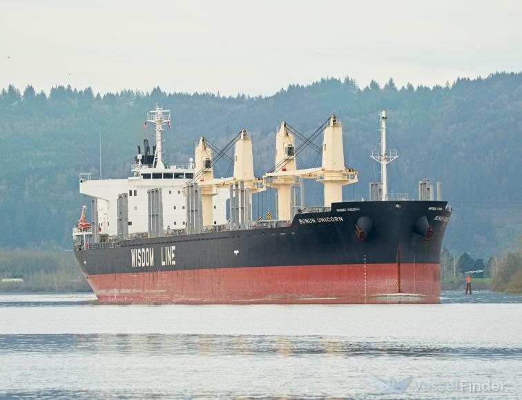 BUNUN UNICORN (IMO 9949687)