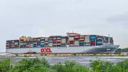 OOCL-VIOLET