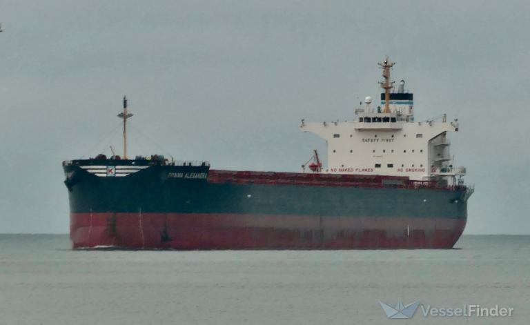 DONNA ALEXANDRA photo