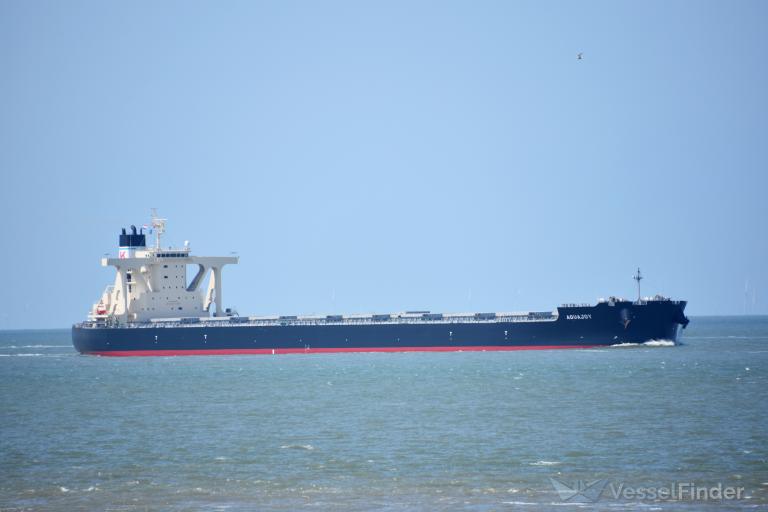 AQUAJOY, Bulk Carrier - Details and current position - IMO 9951111 ...