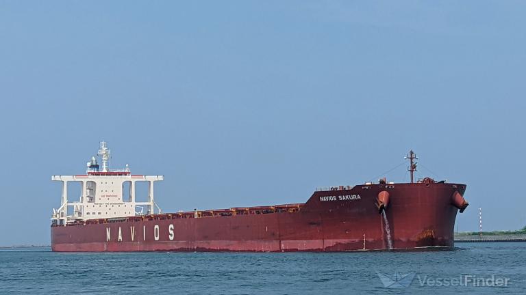 NAVIOS SAKURA photo