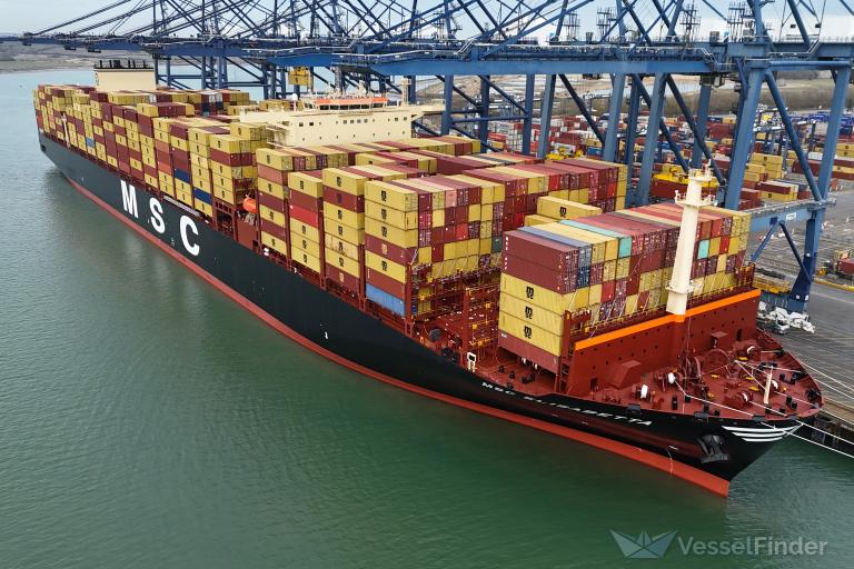 MSC ELISABETTA photo