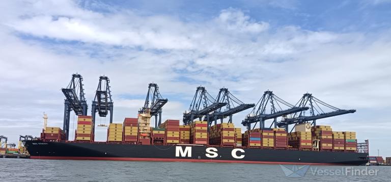MSC STACEY