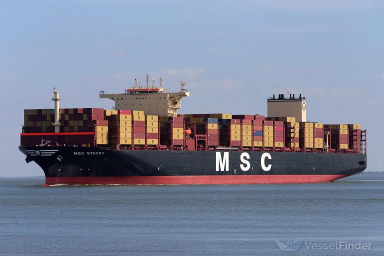 MSC STACEY photo