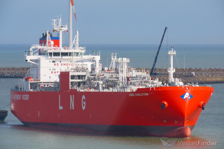 CORAL EVOLUTION photo