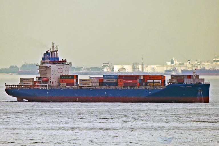 LITTLE CONCERT photo