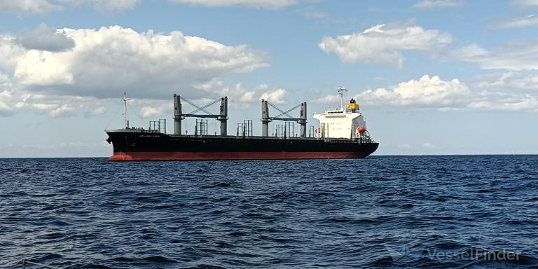 LOWLANDS ENGEL photo