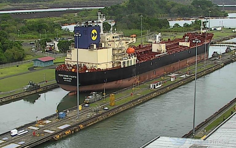 PEREGRINE PACIFIC photo