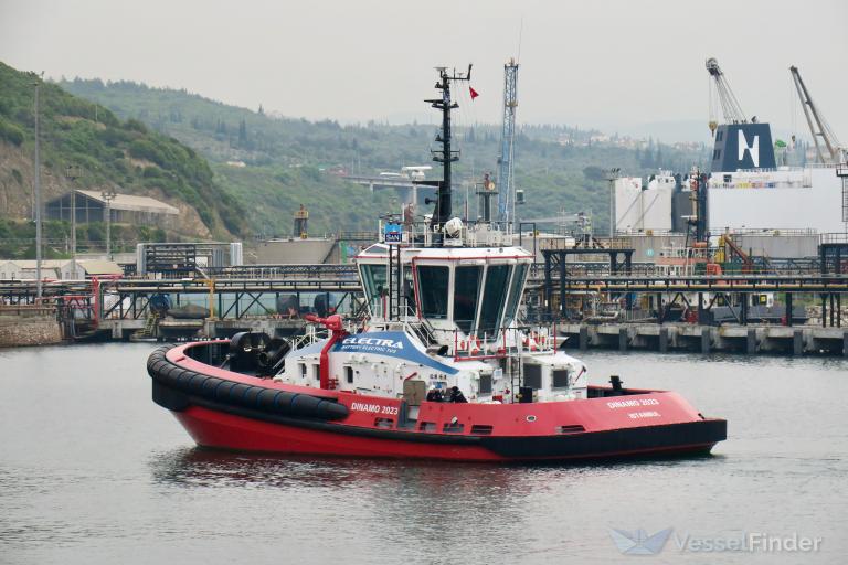 DINAMO 2023 photo