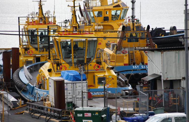 CHIEF DAN GEORGE photo